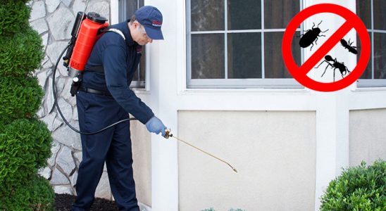 Gölhisar Hamam Böceği İlaçlama böcek ilaçlama ve haşere kontrolü — ilaclama-tr.com